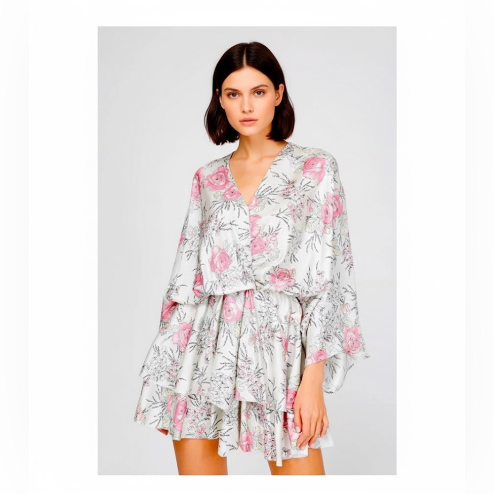 Zadig & Voltaire Rose Print Silk Ruffled Mini Dress Size Medium resort wear #68